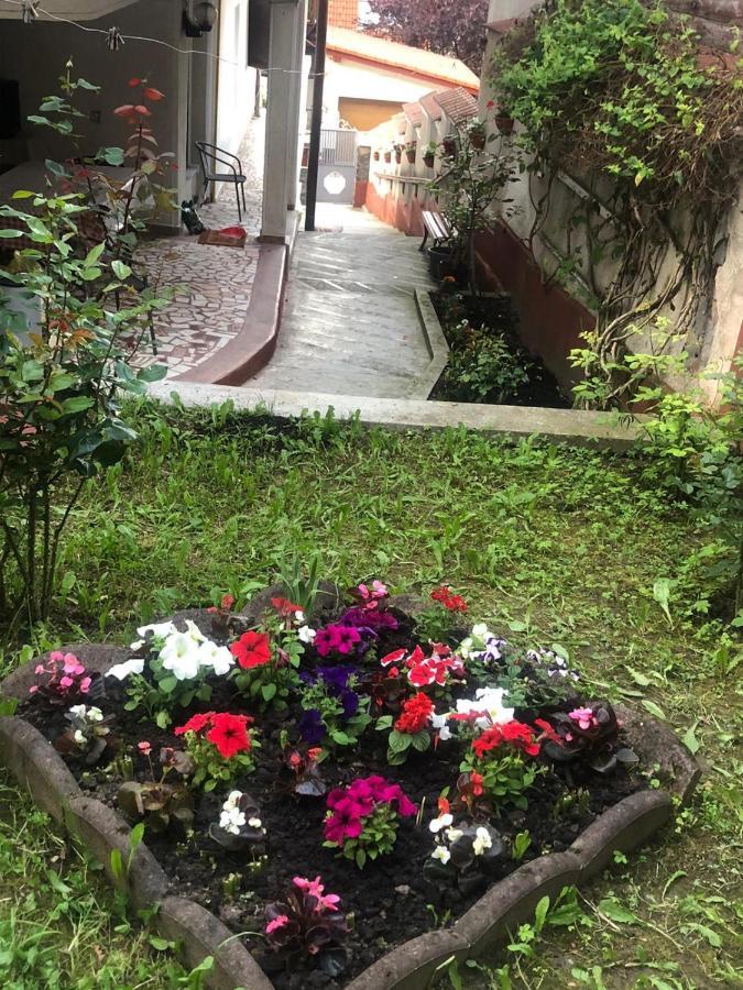 Vila Zeno Brasov Bagian luar foto
