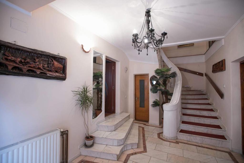 Vila Zeno Brasov Bagian luar foto